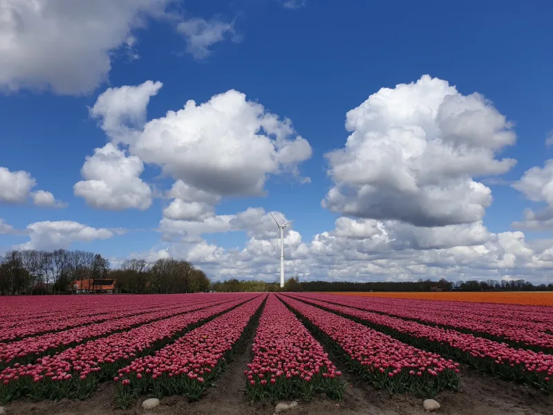 Emmeloord — foto 3