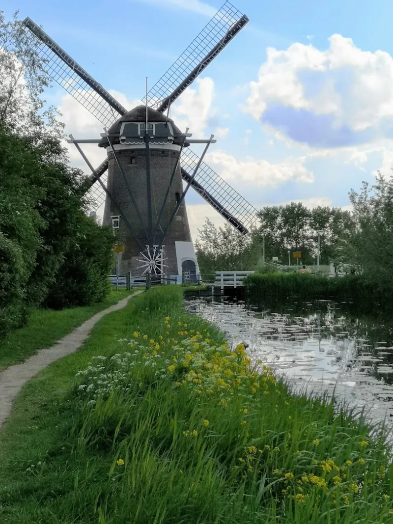 Gouda: Megastore — foto 4