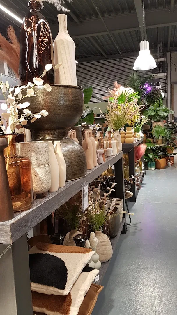 Gouda: Megastore — foto 6