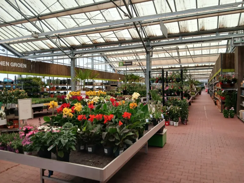 Groningen Damsterdiep: Megastore & tuincentrum — foto 7