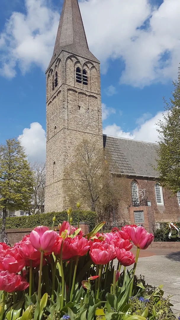 Heemskerk — foto 4