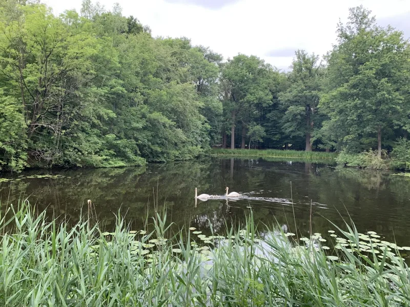 Hilversum — foto 2