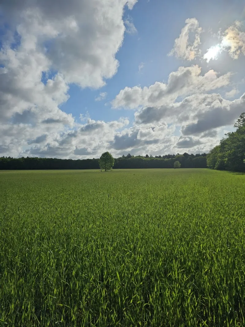 Hilversum — foto 3