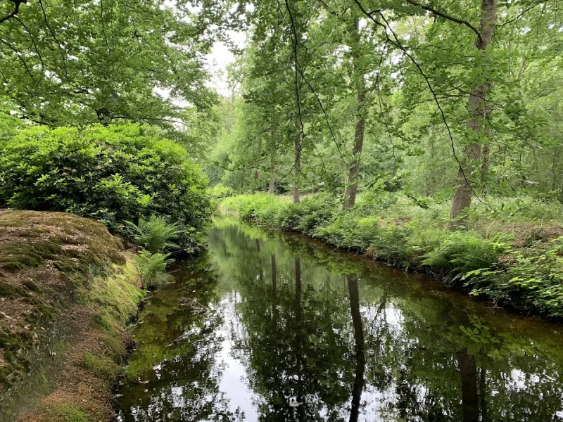 Hilversum — foto 4