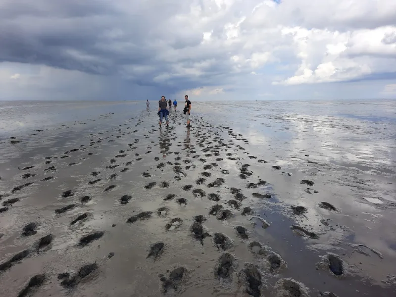 Hippolytushoef — foto 6