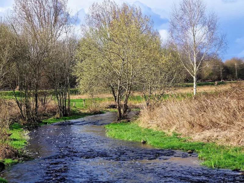 Hoogeveen — foto 2