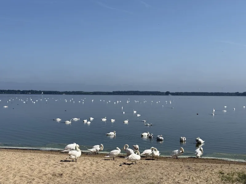 Huizen — foto 8