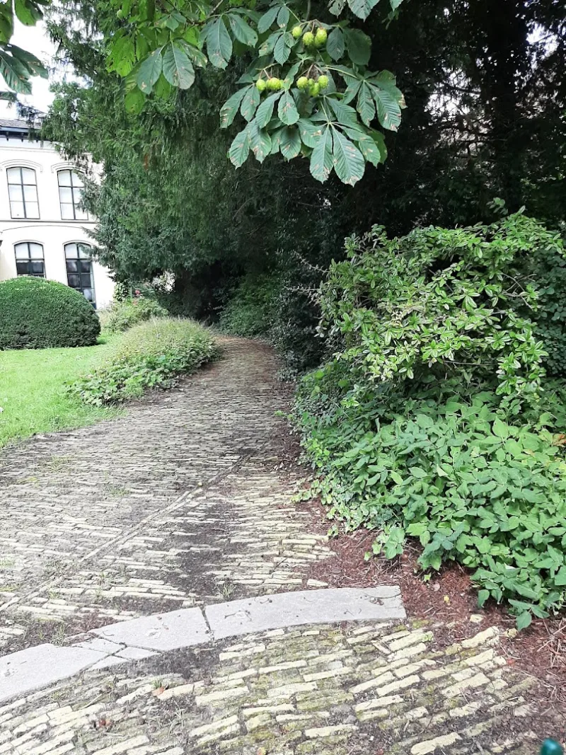 Kollum — foto 10