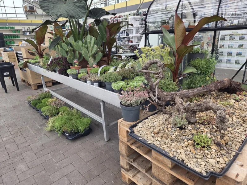 Leeuwarden Avondsterweg: Megastore & tuincentrum — foto 3