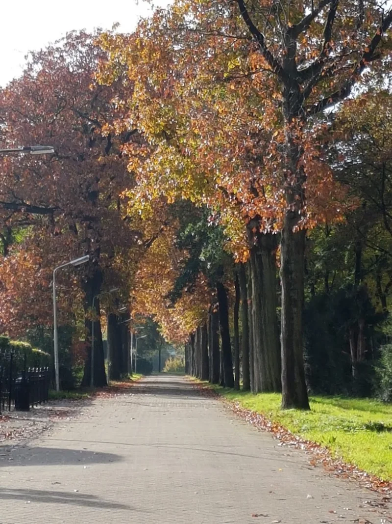 Nijmegen Dukenburg — foto 10