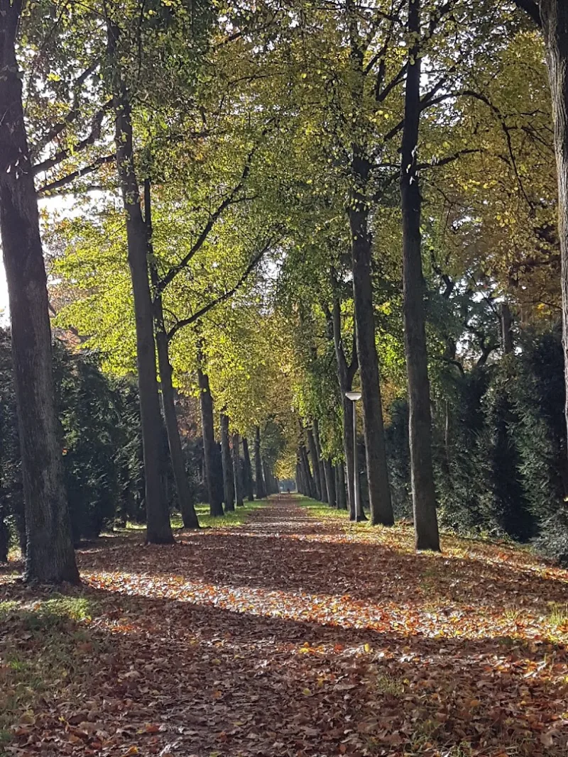 Nijmegen Dukenburg — foto 2