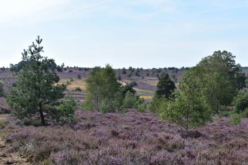 Nijverdal — foto 6