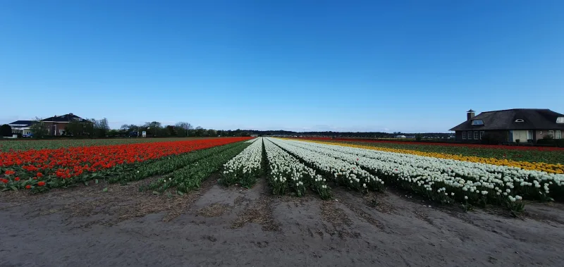 Noordwijk — foto 8