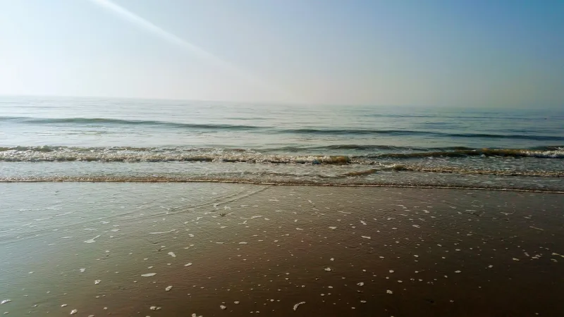 Noordwijk — foto 9