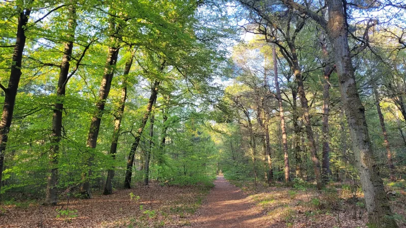 Oisterwijk — foto 2