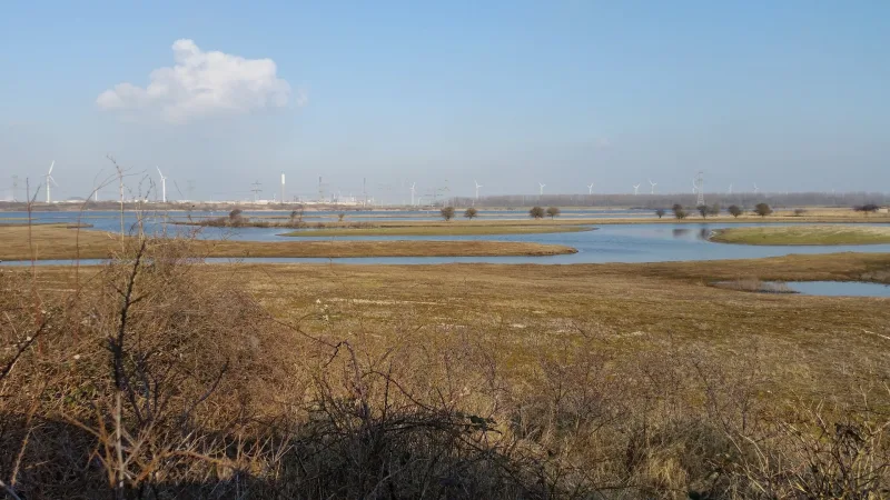 Oostvoorne — foto 10