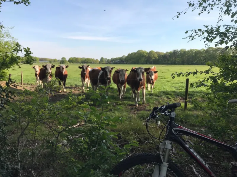 Putten
