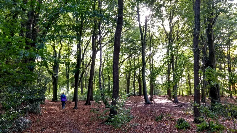 Putten — foto 3