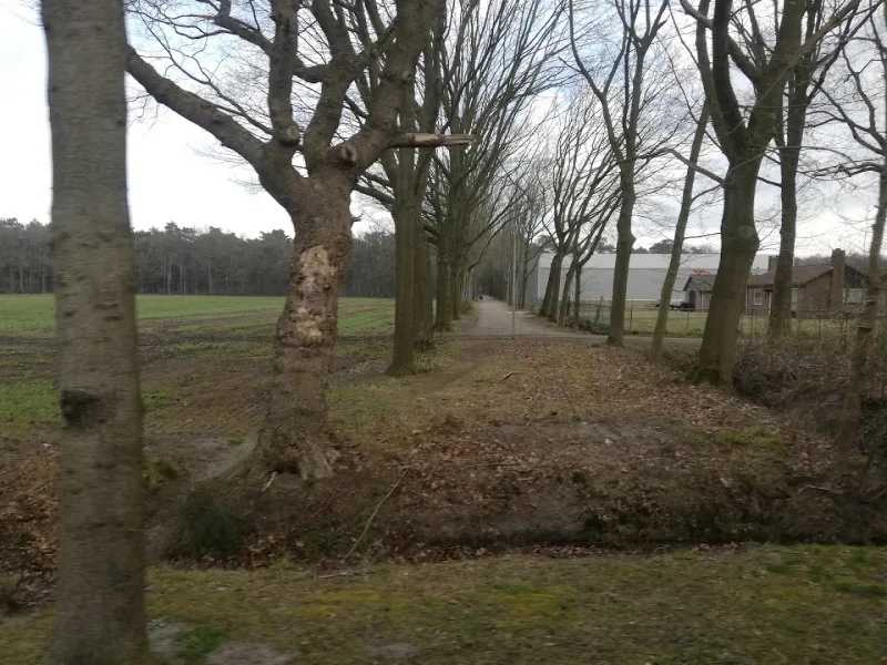 Putten — foto 4