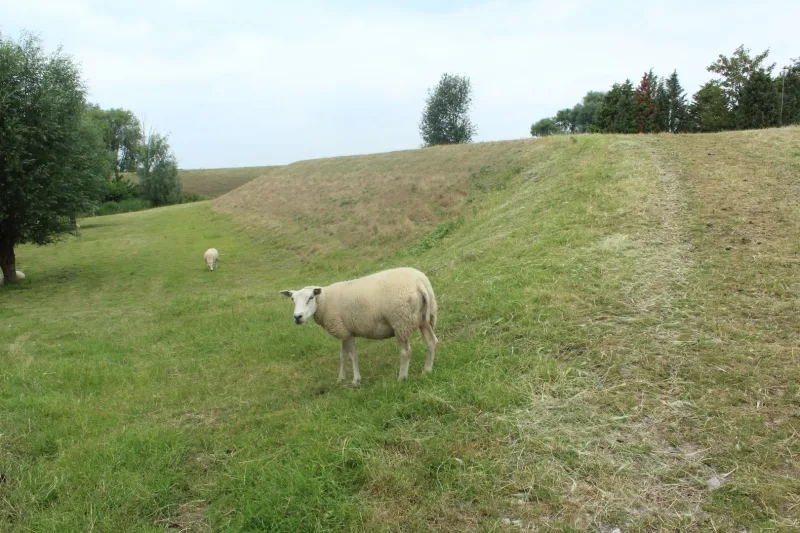 Raamsdonksveer — foto 10