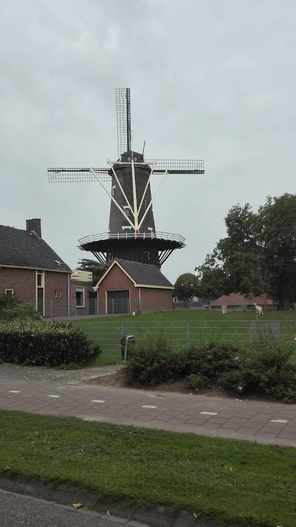 Raamsdonksveer — foto 3