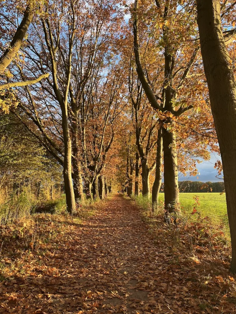 Roosendaal — foto 5