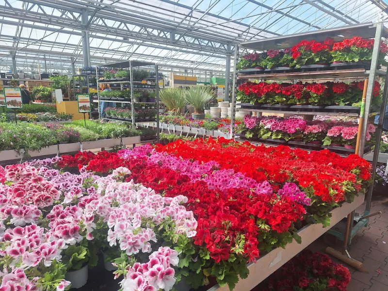 Rotterdam Keileweg: Megastore & tuincentrum — foto 4