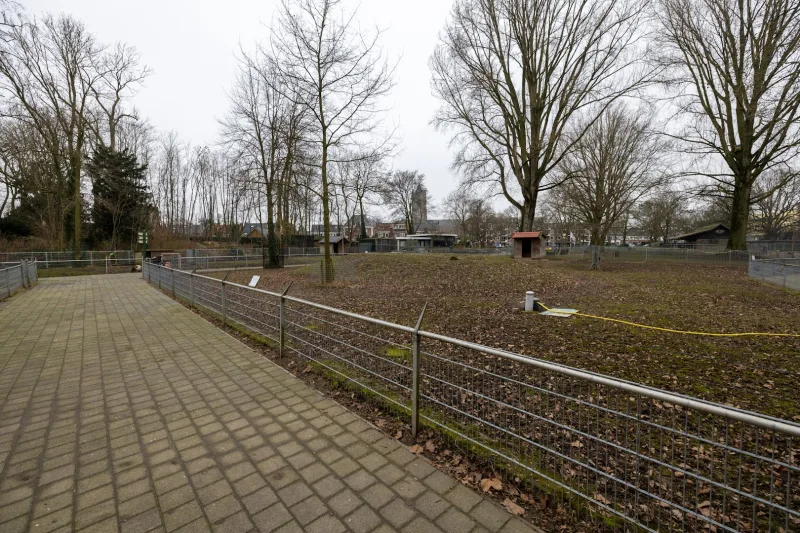 Tiel — foto 5