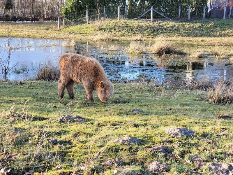 Tilburg Reeshof — foto 2