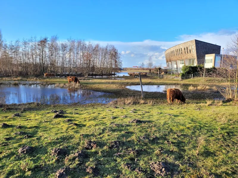 Tilburg Reeshof — foto 3