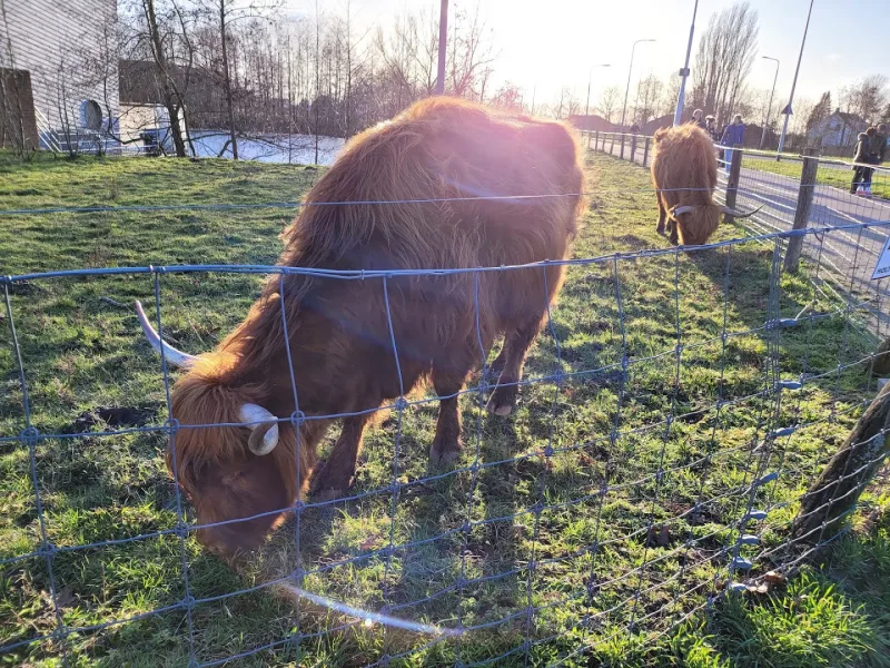 Tilburg Reeshof — foto 6