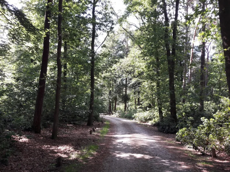 Tubbergen — foto 4