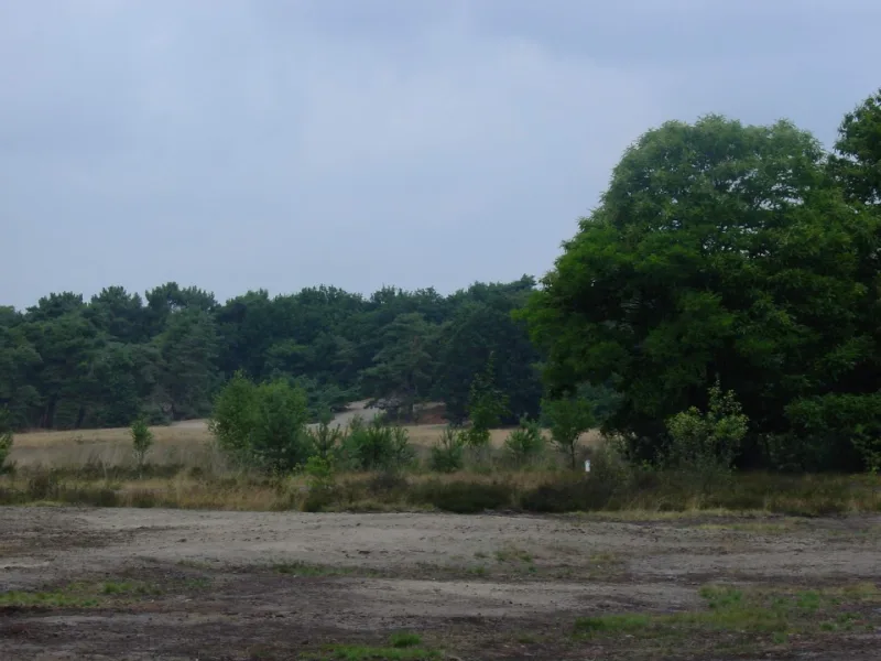 Uden — foto 3