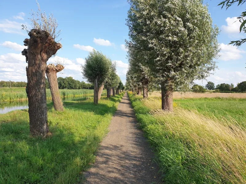 Uden — foto 8