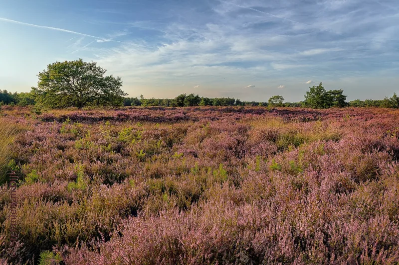 Valkenswaard
