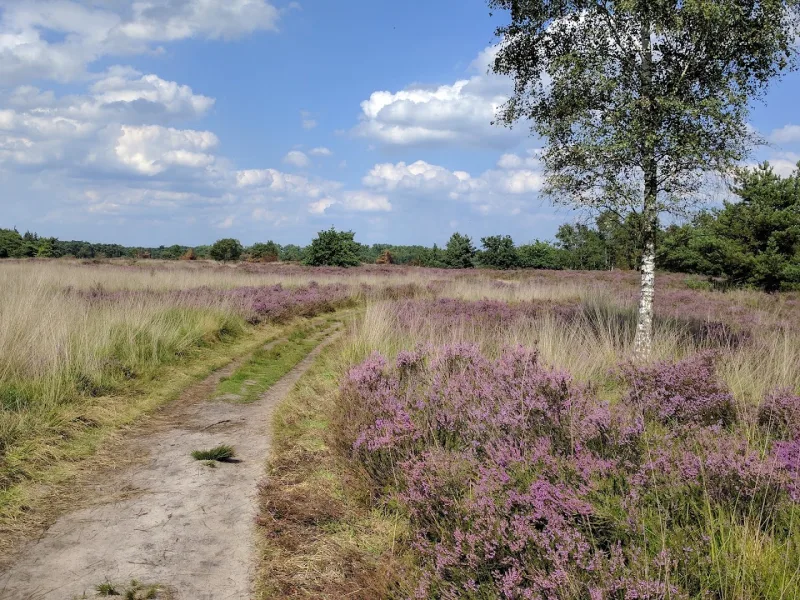 Valkenswaard — foto 7