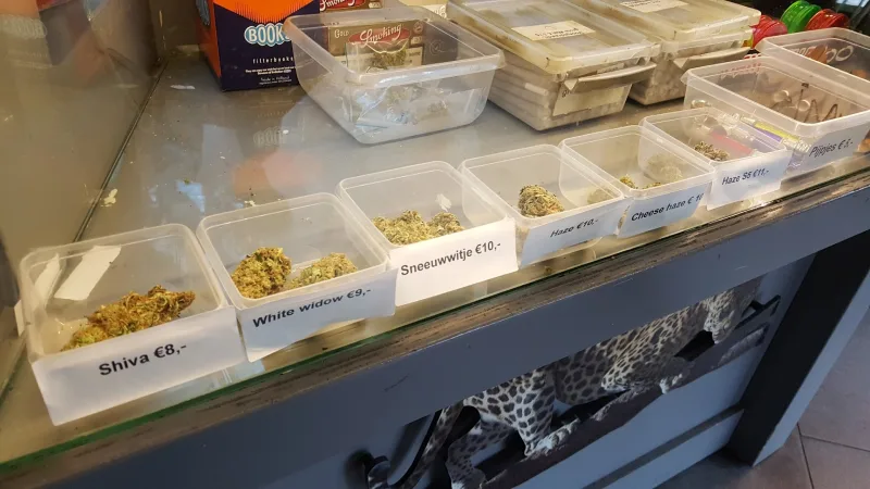 Veenendaal: Megastore — foto 9