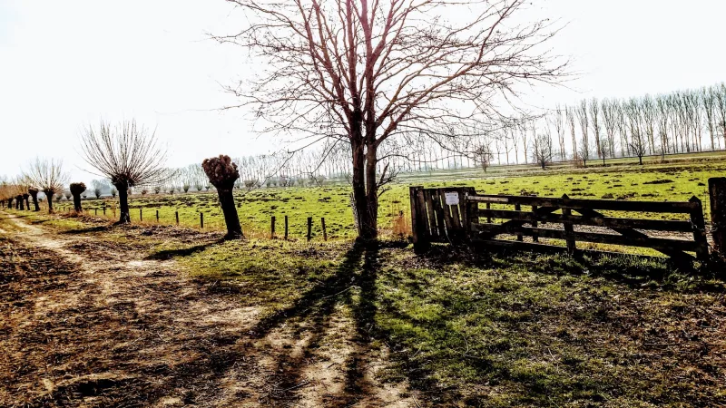 Veghel — foto 10