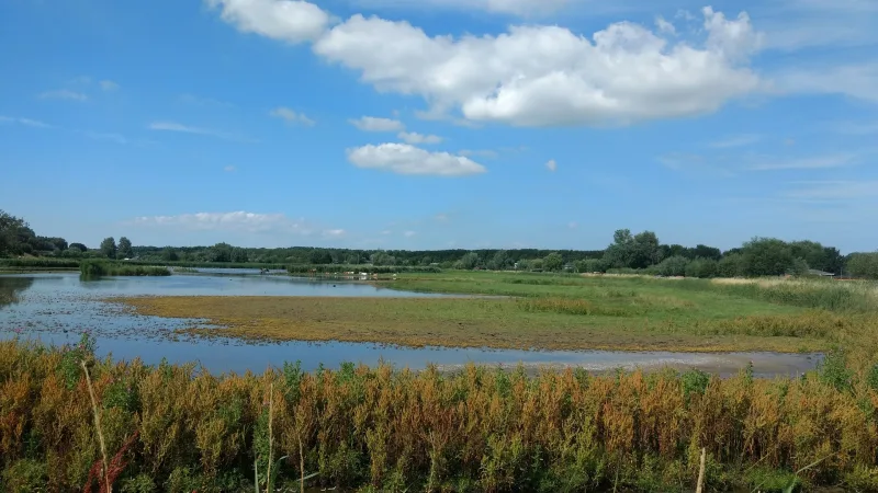 Velserbroek — foto 4