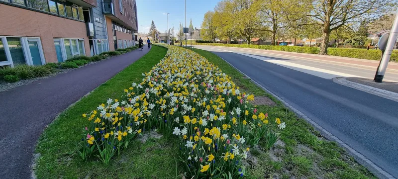 Vianen — foto 4