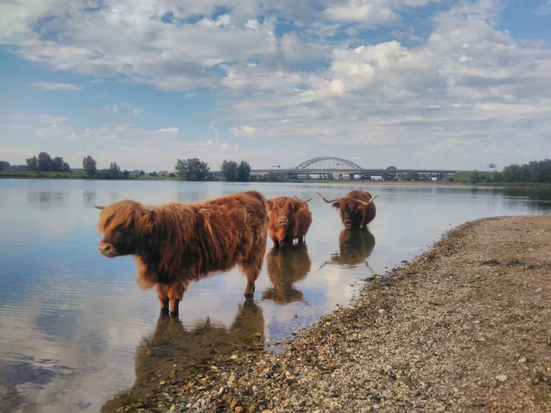 Vianen — foto 7