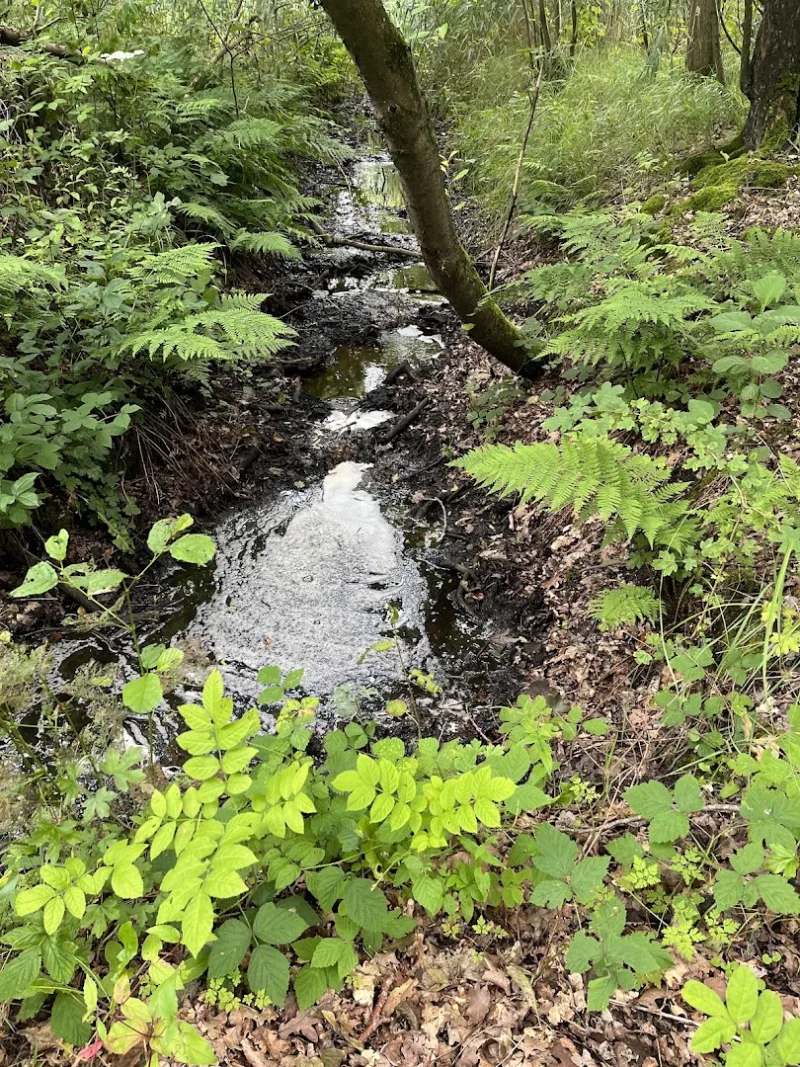 Wieringerwerf — foto 3