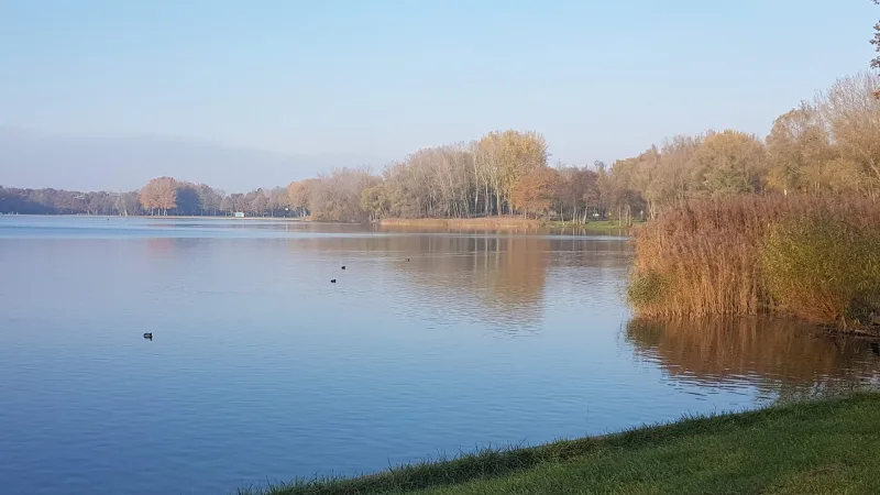 Wijchen — foto 7