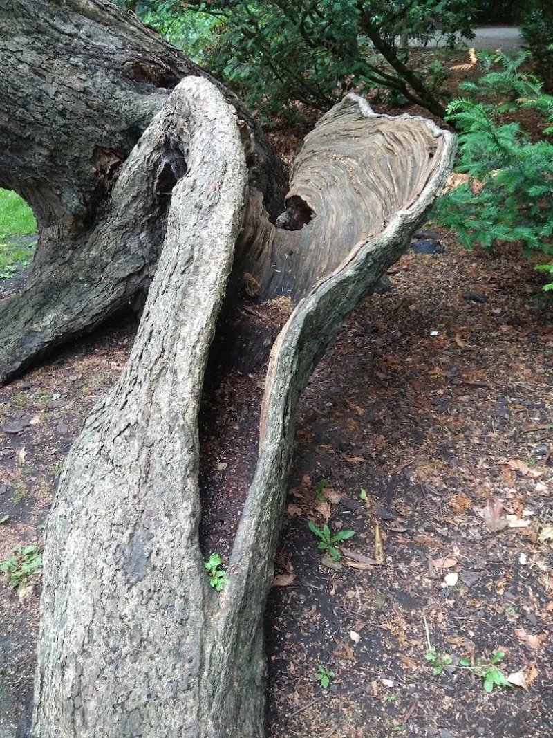 Wormerveer — foto 7