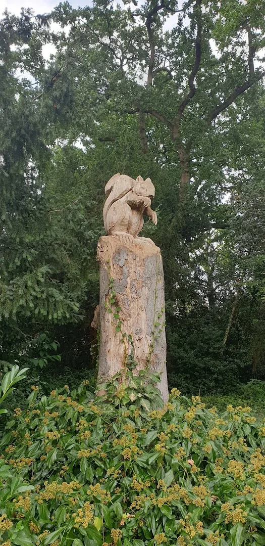 Zeist — foto 7