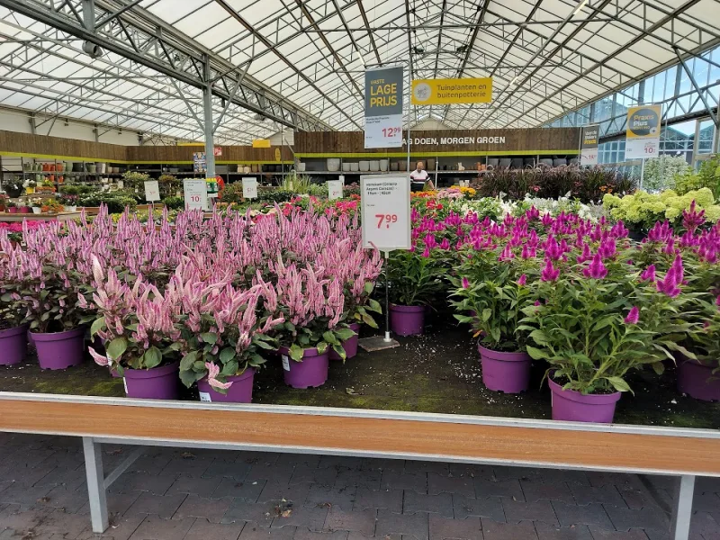 Zoetermeer: Megastore & tuincentrum — foto 3