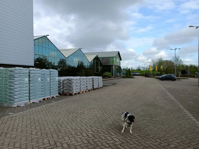 Zoetermeer: Megastore & tuincentrum — foto 2