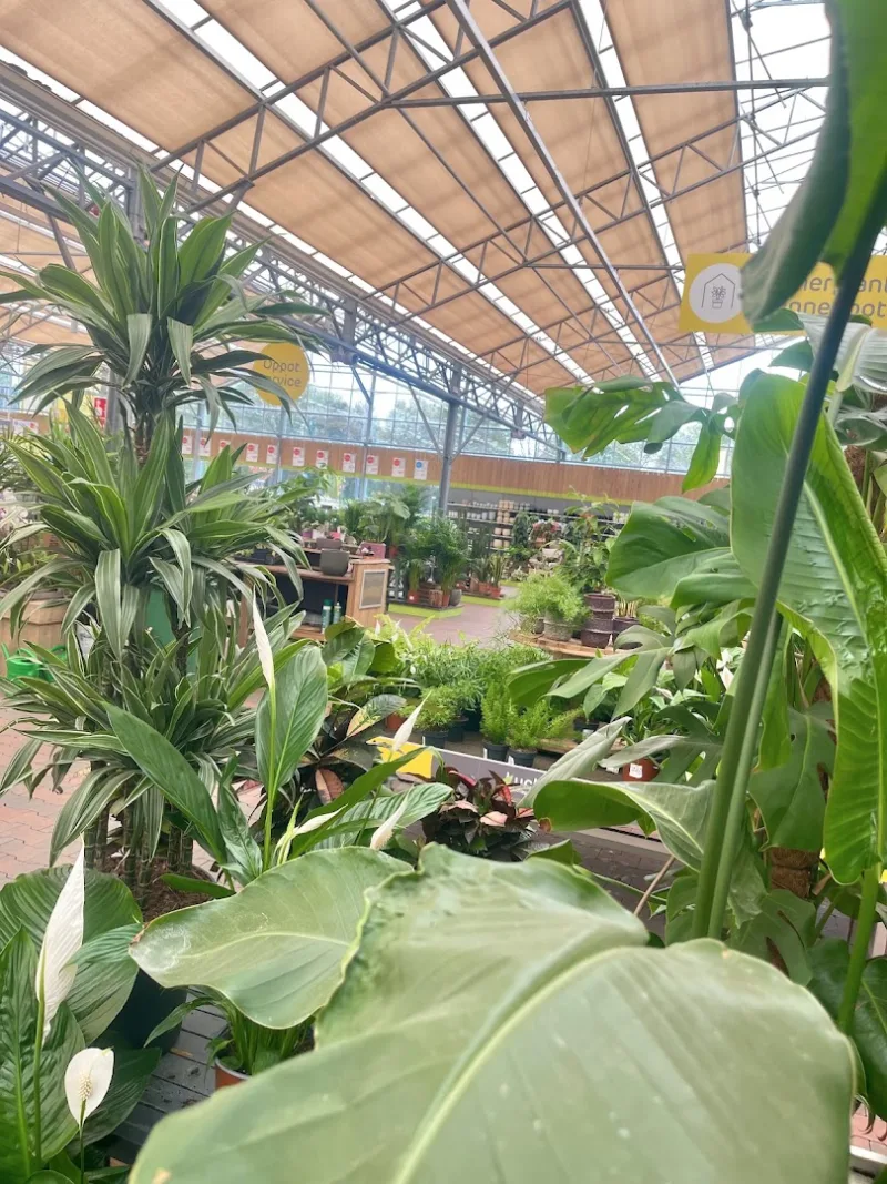 Zoetermeer: Megastore & tuincentrum — foto 5