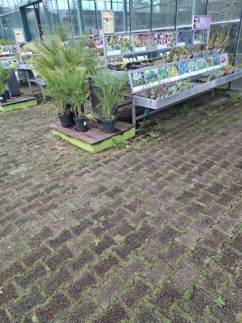 Zoetermeer: Megastore & tuincentrum — foto 7