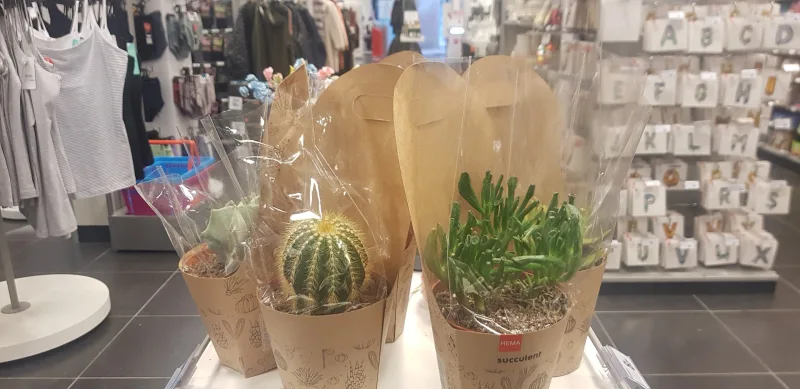 HEMA Wervershoof — foto 11